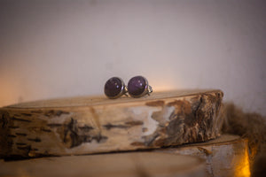 Puces d'oreilles mauve